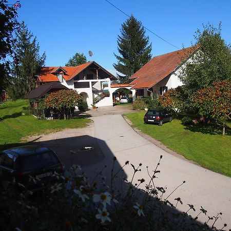 House Ilija Hodak سيليست دريزنيكو الغرفة الصورة