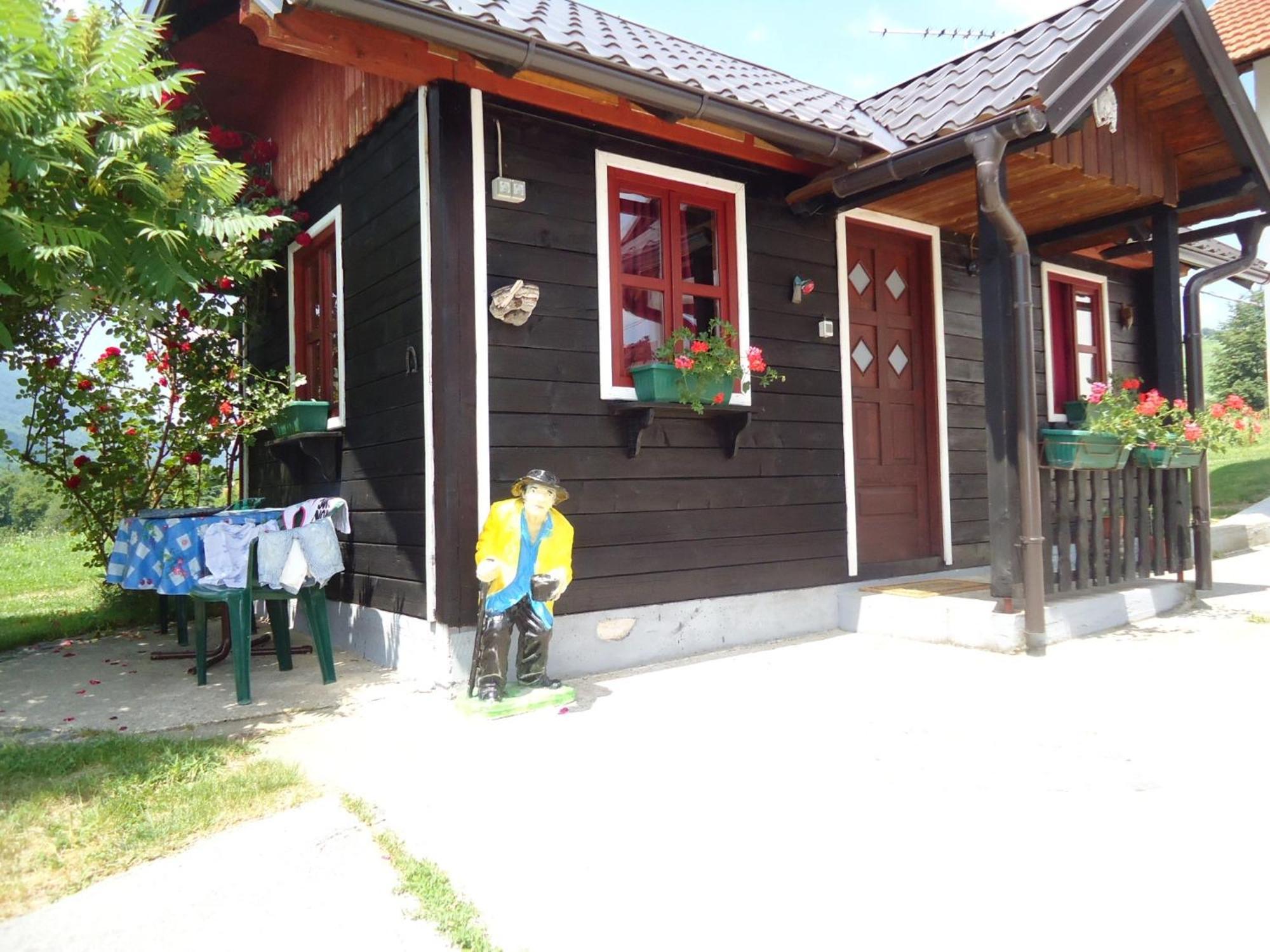 House Ilija Hodak سيليست دريزنيكو المظهر الخارجي الصورة