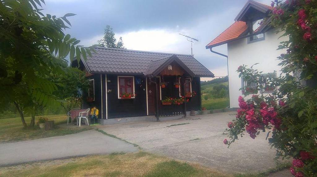 House Ilija Hodak سيليست دريزنيكو المظهر الخارجي الصورة